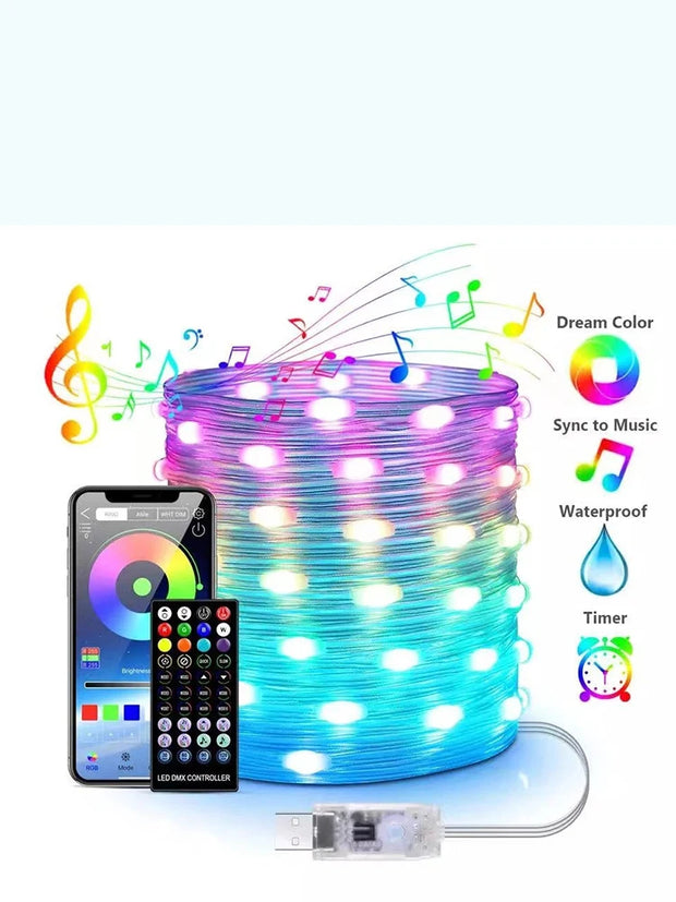 Christmas Outdoor Light Fantasy Colors Garland USB 5V WS2812B LED Fairy Tale Light String Wedding Party and Holiday Light