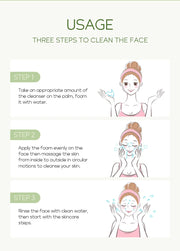 Green Tea Skin Care Set Oil Control fresh Serum Day Cream Repair Face Nourish Toner Cleaning Mud Mask Skin Care suit