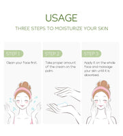 Green Tea Skin Care Set Oil Control fresh Serum Day Cream Repair Face Nourish Toner Cleaning Mud Mask Skin Care suit
