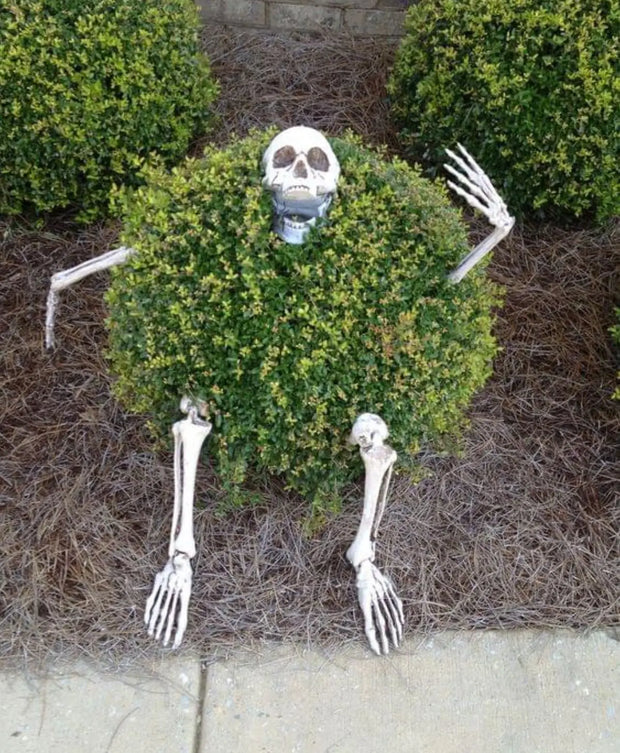 Halloween decor Skeleton Stakes Halloween Realistic Skull Skeleton Head Human Hand Arms for Halloween Party Home Garden Lawn